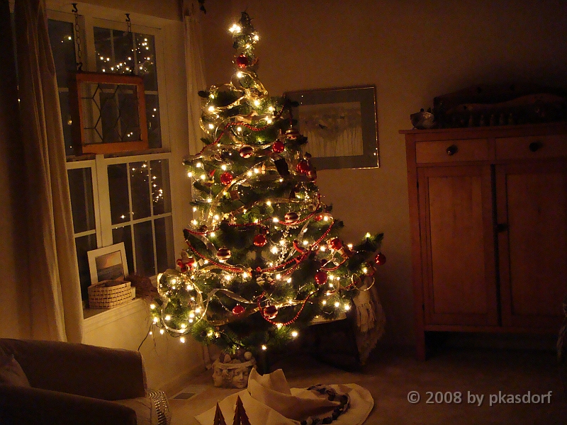 039 A2 Snowfall & Trees [2008 Dec 20].JPG - Our Christmas Trees for 2008.